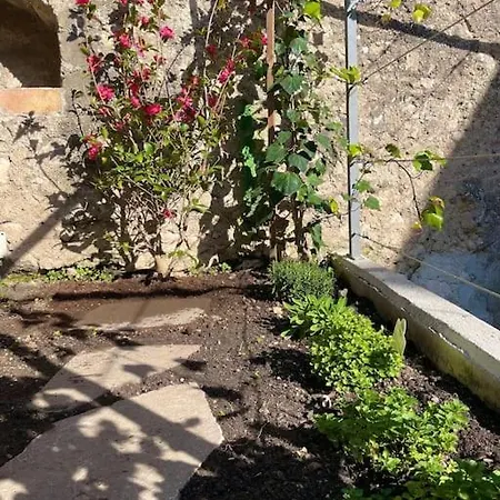 Holiday home Giovanna's Home, Historic Town House With Garden *